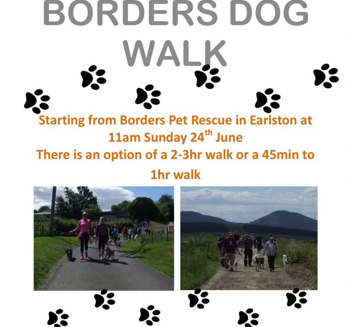 The Big Borders Dog Walk 2018