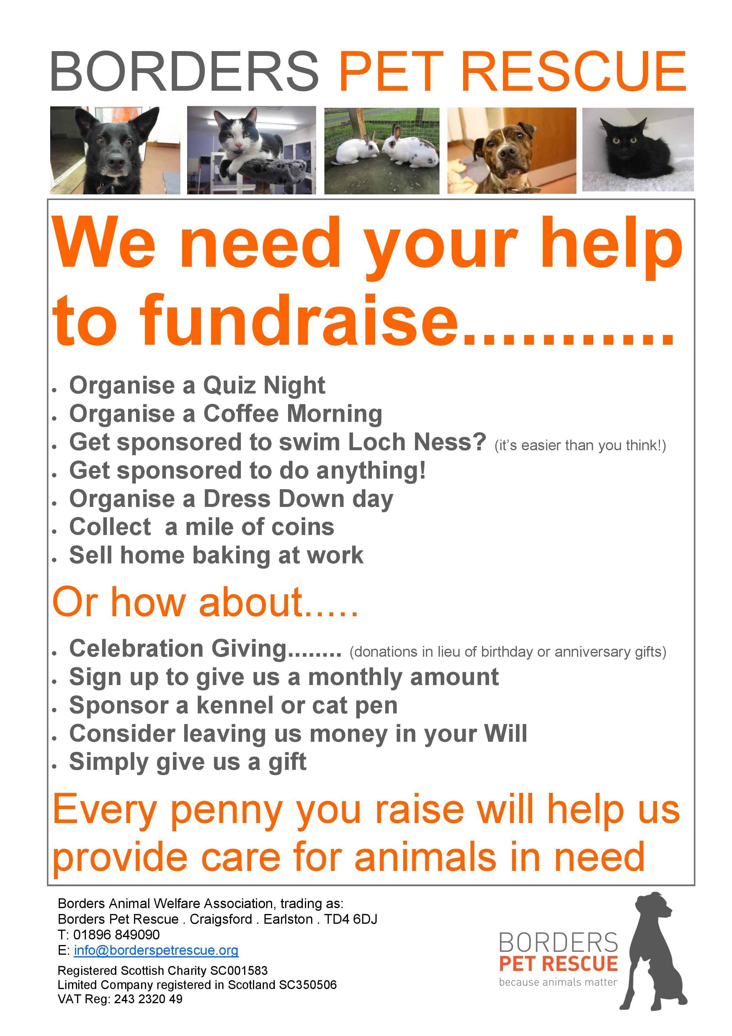 Fundraising ideas poster-page-001